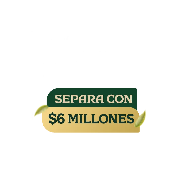 Lotes en la Mesa de Los Santos